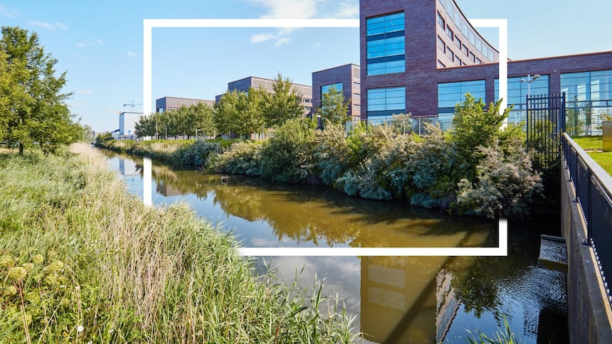 zoomed picture of a tree