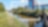 zoomed picture of a tree